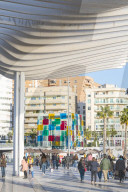 Paseo De La Pergola, Malaga, Andalusia, Spain, Europe