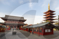 Sensoji Temple in Cherry blossom season