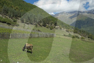 Views of the Caucasus mountain range from the town of Mestia in the Svaneti region of Georgia