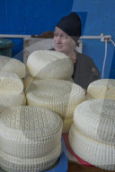 Traditional Sulguni cheese for sale at the market in Kutaisi,Georgia