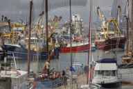 Boats tied up in the busy harbour at Brixham, Torbay, Devon, Great Britain.