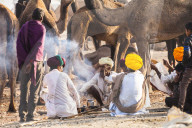 Camel herders at the Pushkar Camel fair, Pushkar, Rajasthan, India, Asia,