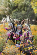 Local dancers in a marigold farm in Pushkar, Rajasthan, India, Asia,