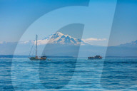Whale watching boats of the coast of Orcas Island overlooking Mt. Baker.
