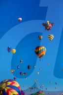 Mass ascension at the Fiesta Hot Air Balloon Festival.
