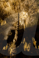 Carlsbad Caverns. The 'Big Room'.