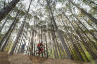 Mountain bikers descend through a forest at sunrise