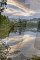 Crystal clear water and pine trees reflected in Lochan Eilein, The Cairngorms, Scotland.