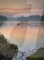 Winter sunrise over The Great Lake, Castle Howard Estate, North Yorkshire, UK