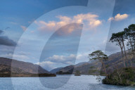 Sunset over Scots pines island, Arienskill, Loch Eilt, near Arisaig, Highland Region, Scotland, UK.