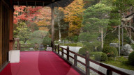 Manshu-in temple zen garden in autumn, Kyoto, Japan
