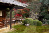 Zuishin-in temple moss garden in autumn, Kyoto, Japan