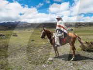 Indigenous man on a horse in high paramo landscape, Cotopaxi National Park, Andes mountains, Ecuador, South America