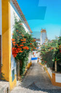 Narrow quaint streets within the ancient fortified village of Obidos, Oeste Leiria District, Portugal, Europe