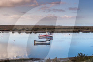 Views from Norfolk Coast path National Trail near Burnham Overy Staithe, East Anglia, England, UK.
