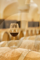 Wine glass exposed on a wood barrel. Buglio in Monte, Valtellina, Lombardy, Italy, Europe.