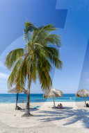 palm trees and umbrellas on the beach Playa Ancon near Trinidad, Trinidad, Cuba, West Indies, Caribbean, Central America