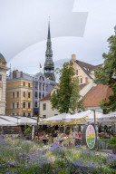 Livu Square and St. Peter's Church, UNESCO World Heritage Site, Riga, Latvia, Europe