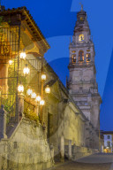 The bell tower of the mosque-cathedral during the blue hour, Cordoba, Andalusia, Spain, Europe