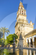 The bell tower of the mosque-cathedral seen from the inner courtyard, Cordoba, Andalusia, Spain, Europe