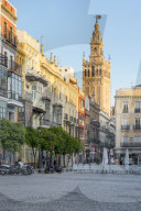 The Giralda Bell tower seen from San Francisco Square at sunset, Seville, Andalusia, Spain, Europe