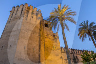 Illuminated walls of the Royal Alcazars at dusk, Cordoba, Andalusia, Spain, Europe