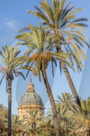 Cupola of the Palermo Cathedral (UNESCO World Heritage Site) seen from Villa Bonanno Park, Palermo, Sicily, Italy, Europe
