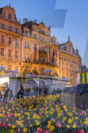 Historical buildings seen from the easter market at the old town market square at dusk, Prague, Bohemia, Czech Republic, Europe