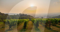 Castelbellino, Marche, Italy