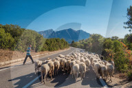 On the road SP46, to Orgosolo, Sardinia, Italy