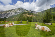 Karwendel Natural Park, Tyrol, Austria