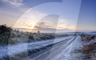 Heavy frost as the sun fights to leave a cloud bank on the heathland of Woodbury Common, near Exmouth, Devon, UK