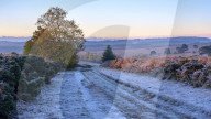 Heavy frost with the first rays of sun on the heathland of Woodbury Common, near Exmouth, Devon, UK