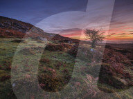 Twilight on the slopes below Saddle Tor with mist in the Teign Valley, Dartmoor National Park, Bovey Tracey, Devon UK