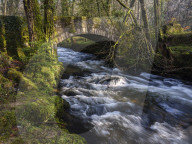 Water flows under Buckland Bridge as it joins the River Dart near Newbridge, Dartmoor National Park, Ashburton, Devon UK