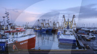 Trawlers moored alongside in the fishing port of Brixham, Devon, UK