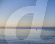 A fisherman leaves to tend his pots early in the morning on a calm sea at Budliegh Salterton, Devon, UK