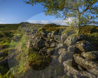 Sun on a stone wall on Holwell Down near Hound Tor, Dartmoor National Park, Bovey Tracey, Devon, UK