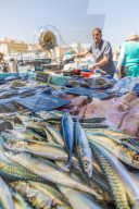 Fish market in the Old port in Marseille, Bouches du Rhone, Provence, Provence Alpes, Cote d'Azur, France, Mediterranean, Europe