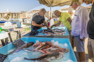Fish market in the Old port in Marseille, Bouches du Rhone, Provence, Provence Alpes, Cote d'Azur, France, Mediterranean, Europe