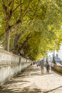 A path along the river Thames in London, England, United Kingdom, Europe.