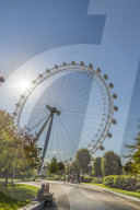 The London Eye (Millennium Wheel) in London, England, United Kingdom, Europe.