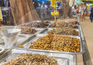 A stall selling various insects in the night market in Kamala in Phuket, Thailand, Southeast Asia, Asia.