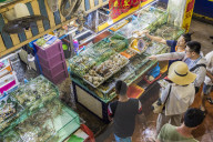 An aerial view of a live fish stall at the indoor Banzaan food market in Patong, Phuket, Thailand, Southeast Asia, Asia.