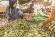 A fresh seafood stall at the local market in Ao Nang, Krabi Province, Thailand, Southeast Asia, Asia.