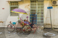 Local rickshaw tuktuk driver in George Town, Penang Island, Malaysia, Southeast Asia, Asia.