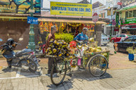 A mobile coconut seller and his stall in Little India, George town, Penang Island, Malaysia, Southeast Asia, Asia.