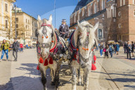 Horse drawn carriage in the main square, Rynek GÅ‚Ã³wny, in the medieval old town, UNESCO World site, in Krakow, Poland, Europe.