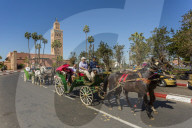 Horses and carriages and Minaret of the 12th century Koutoubia Mosque at dawn, UNESCO World Heritage Site, Marrakesh, Morocco, North Africa, Africa
