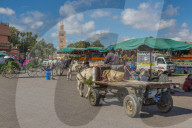 Horse and cart on Jemaa el Fna (Djemaa el Fnaa) Square, UNESCO World Heritage Site & Koutoubia Mosque visible, Marrakesh (Marrakech), Morocco, North Africa, Africa